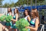 Завершился сезон бичсоккера в Новосибирске